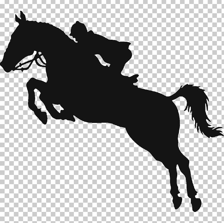 Horse Show Equestrian Show Jumping PNG, Clipart, Bridle, Colt, Decal, Dressage, English Riding Free PNG Download