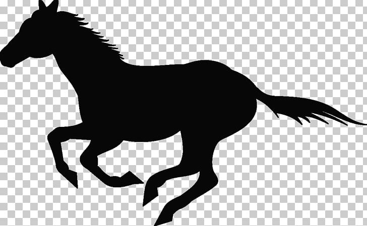 Horse Wall Decal Sticker Cattle PNG, Clipart, Animals, Black And White, Bridle, Bumper Sticker, Calf Roping Free PNG Download