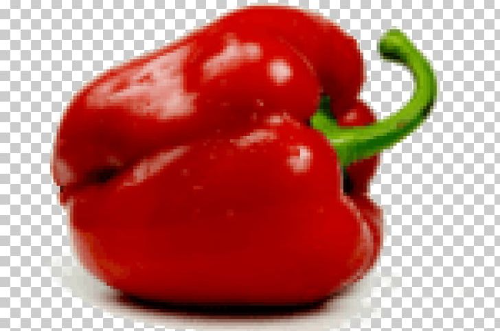 Habanero Piquillo Pepper Serrano Pepper Cayenne Pepper Tabasco Pepper PNG, Clipart,  Free PNG Download