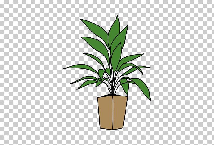 Mark Johns Molino Desktop Plant PNG, Clipart, Arecales, Desktop Wallpaper, Drawing, Flower, Flowerpot Free PNG Download