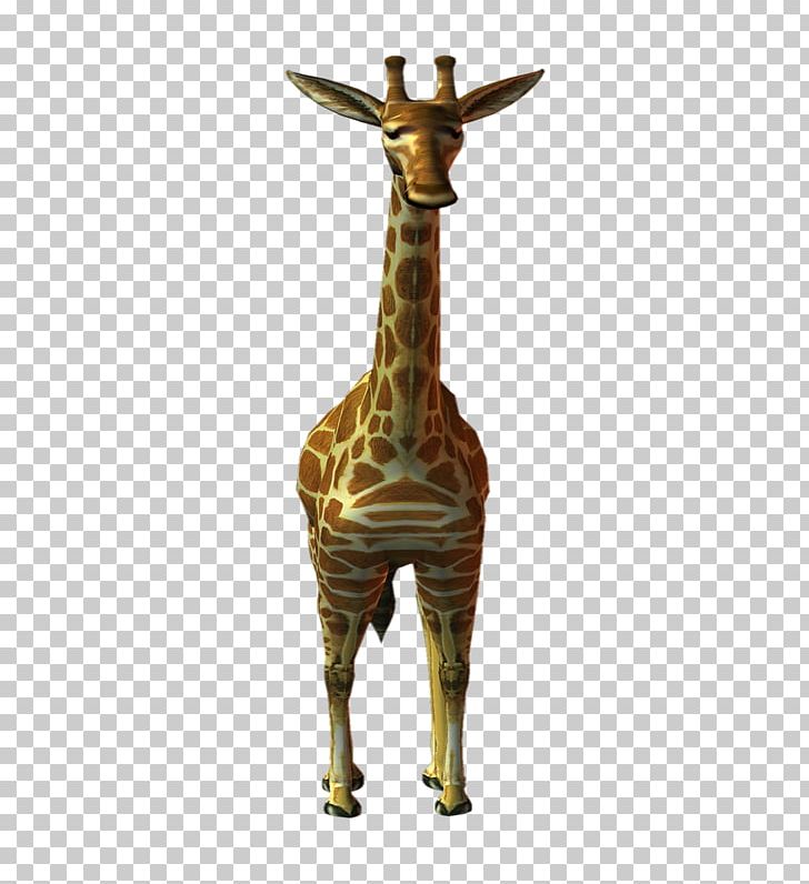 Northern Giraffe PhotoScape Animal Deer PNG, Clipart, Animal, Blog, Deer, Gimp, Giraffe Free PNG Download