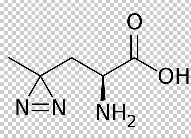 Phenylalanine Glutamic Acid Nitrotyrosine Leucine PNG, Clipart, Alanine, Amino Acid, Angle, Area, Black Free PNG Download