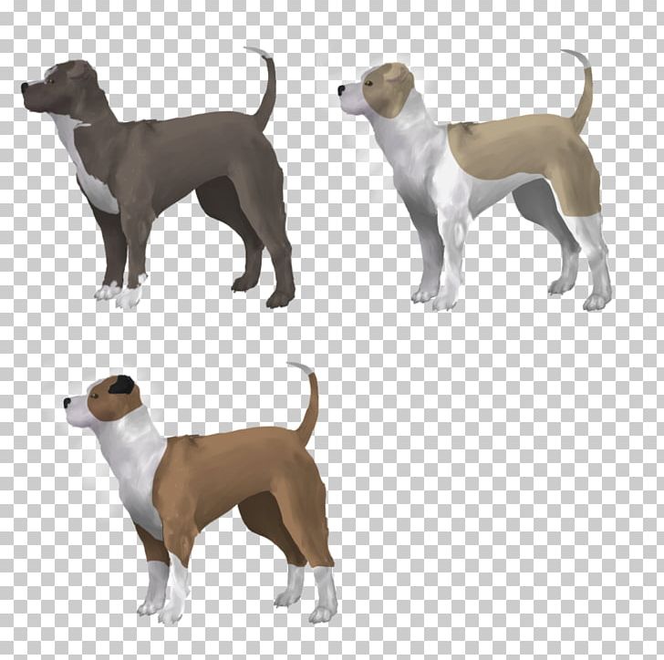 Dog Breed Italian Greyhound Crossbreed PNG, Clipart, American Staffordshire Terrier, Breed, Carnivoran, Crossbreed, Dog Free PNG Download
