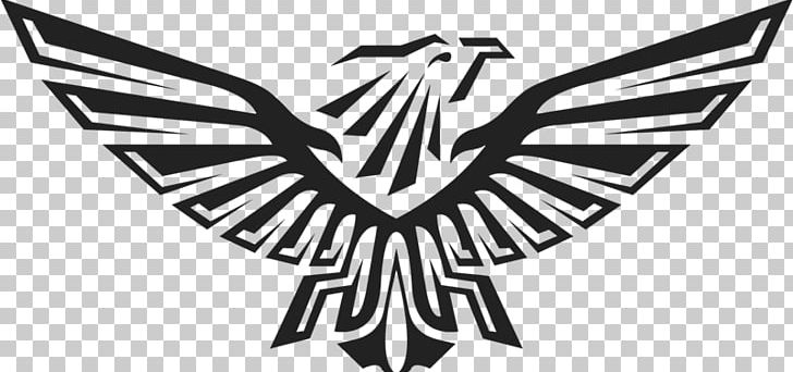 Eagle Logo PNG, Clipart, Angle, Animals, Beak, Bird, Black Free PNG Download