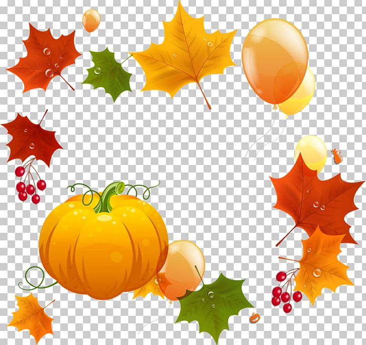Halloween Costume Jack-o'-lantern Stingy Jack PNG, Clipart, Autumn, Calabaza, Cucurbita, Festival, Flower Free PNG Download