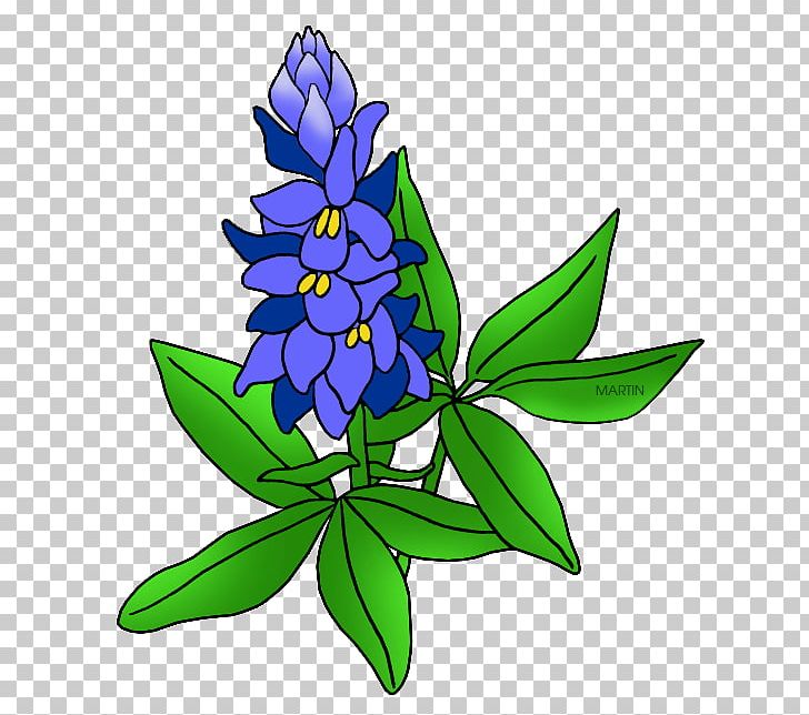 Texas Bluebonnet Free Content PNG, Clipart, Art, Artwork, Bluebonnet, Cut Flowers, Download Free PNG Download