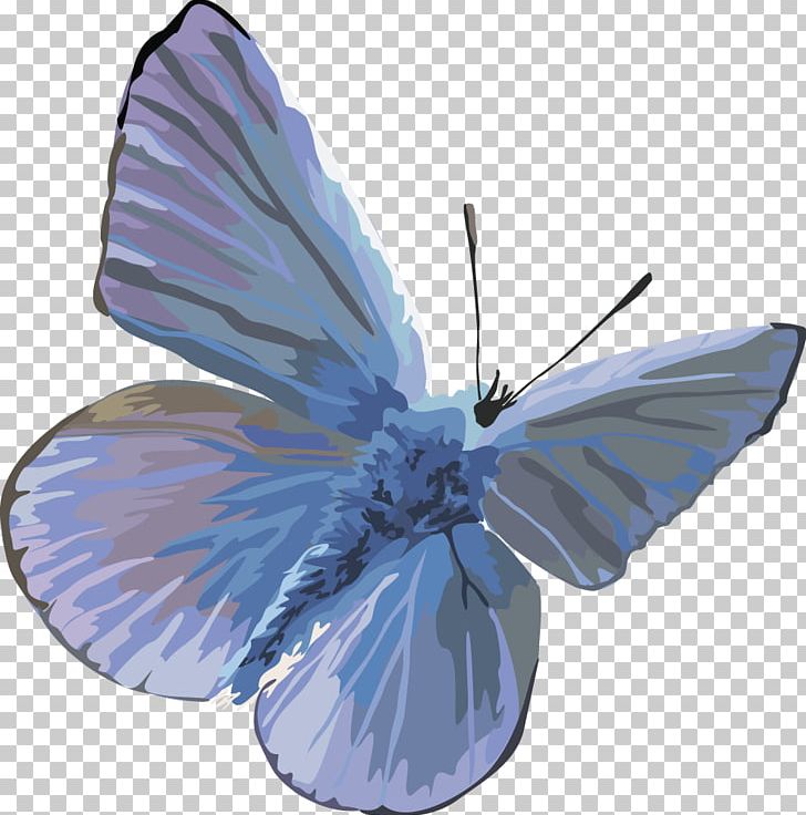 Butterfly Insect Moth PNG, Clipart, Animals, Arthropod, Blue, Butterflies, Butterflies And Moths Free PNG Download