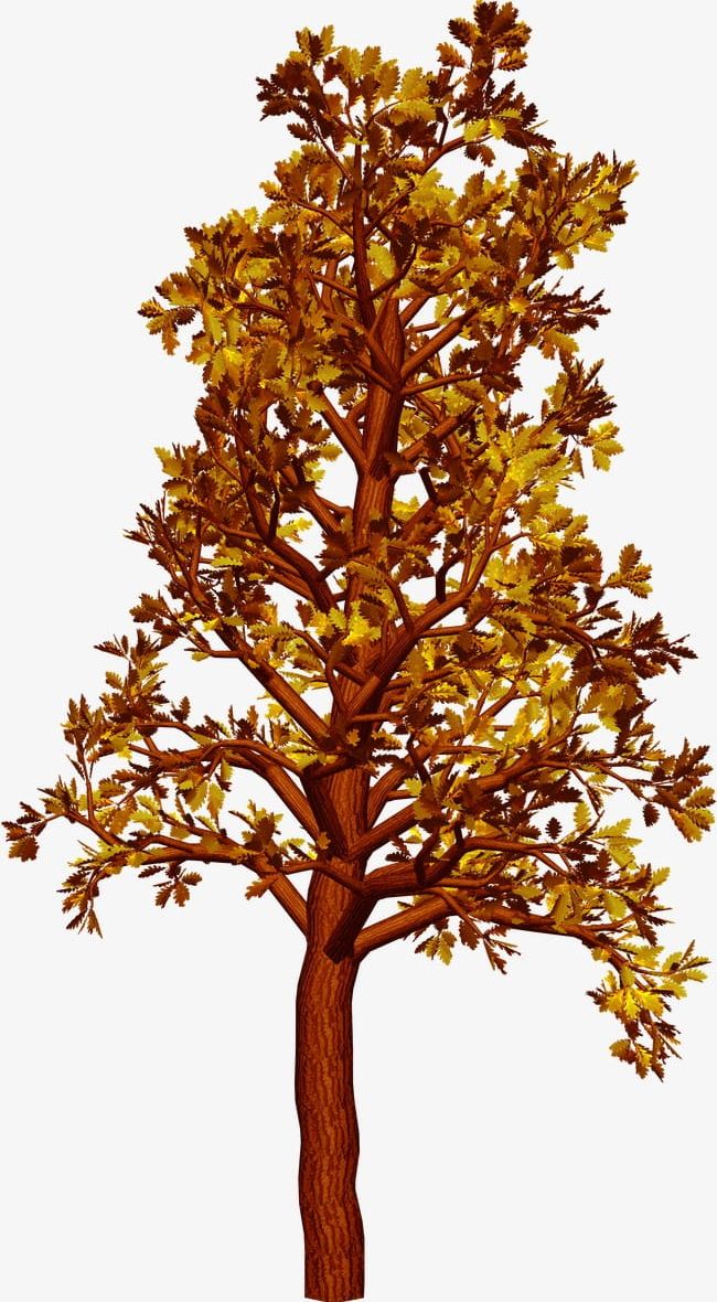 Autumn Tree PNG, Clipart, Autumn, Autumn Clipart, Autumn Tree, Backgrounds, Bark Free PNG Download