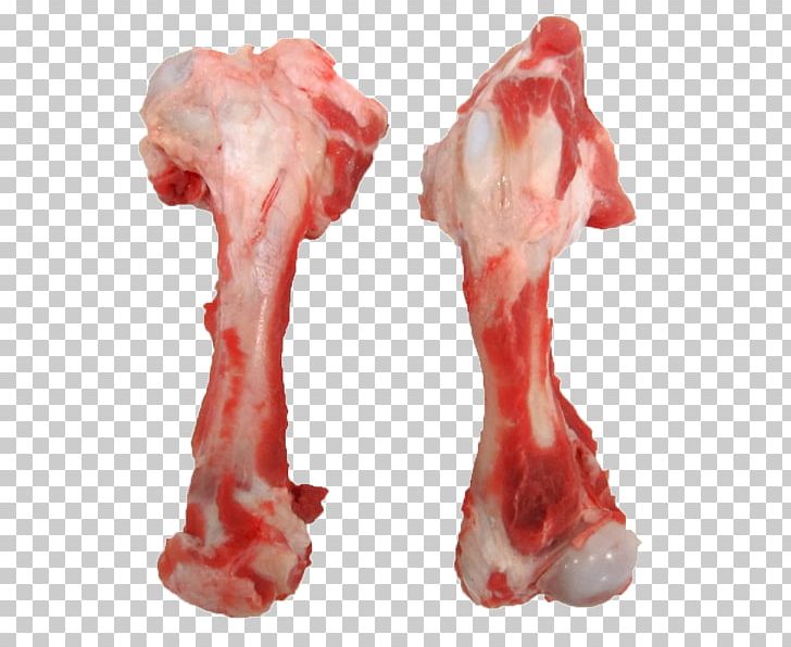 Dog Domestic Pig Femur Bone Pork PNG, Clipart, Animals, Animal Source Foods, Beef, Beef Clod, Bone Free PNG Download