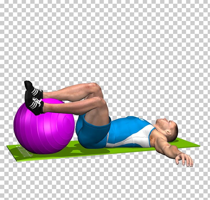Exercise Balls Physical Fitness Abdominal Exercise Abdomen PNG, Clipart, Abdomen, Abdominal Exercise, Arm, Ball, Exercise Free PNG Download