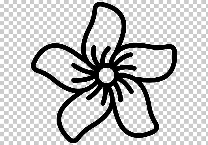 Frangipani Decal Sticker Drawing PNG, Clipart, Art, Artwork, Black, Black And White, Bumper Sticker Free PNG Download