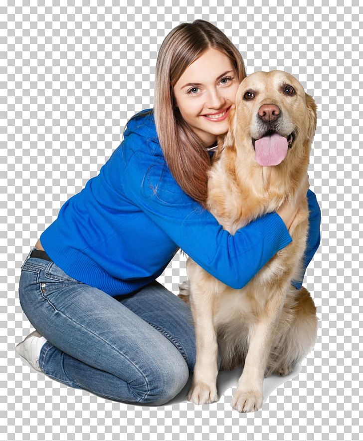 Golden Retriever Puppy Dog Breed Companion Dog PNG, Clipart, Animals, Beautiful Woman, Breed, Carnivoran, Companion Dog Free PNG Download