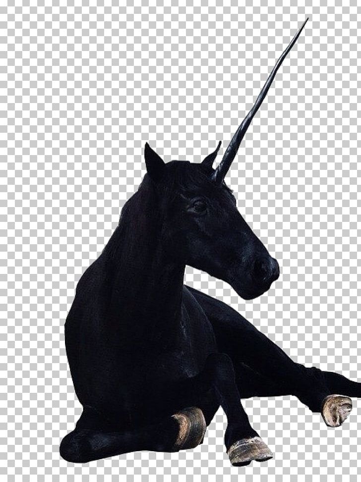 The Black Unicorn Legendary Creature Horse Indus Valley Civilisation PNG, Clipart, Black Unicorn, Bridle, Evil, Fantasy, Ffffound Free PNG Download