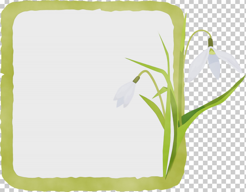 Picture Frame PNG, Clipart, Film Frame, Flower, Flower Frame, Geometry, Green Free PNG Download