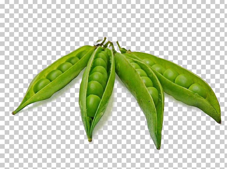 Pea Dal Legume PNG, Clipart, Alamy, Beans, Broad Bean, Chickpea, Dal Free PNG Download