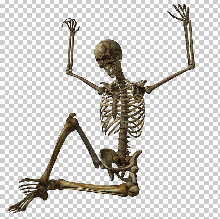 Human Skeleton Computer Icons Skull PNG, Clipart, Bone, Computer Icons, Endoskeleton, Fantasy, Figurine Free PNG Download