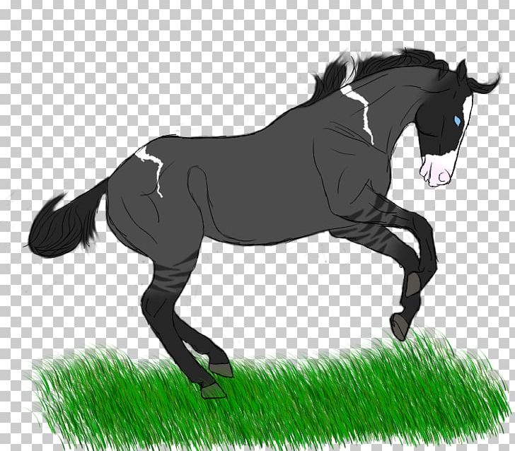 Mane Mustang Pony Stallion Mare PNG, Clipart,  Free PNG Download
