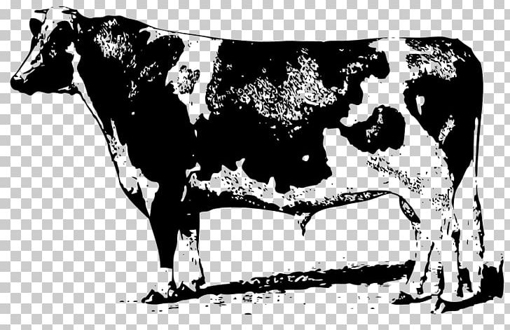 Beef Cattle Jersey Cattle PNG, Clipart, Beef Cattle, Black And White, Bull, Cattle, Cattle Like Mammal Free PNG Download