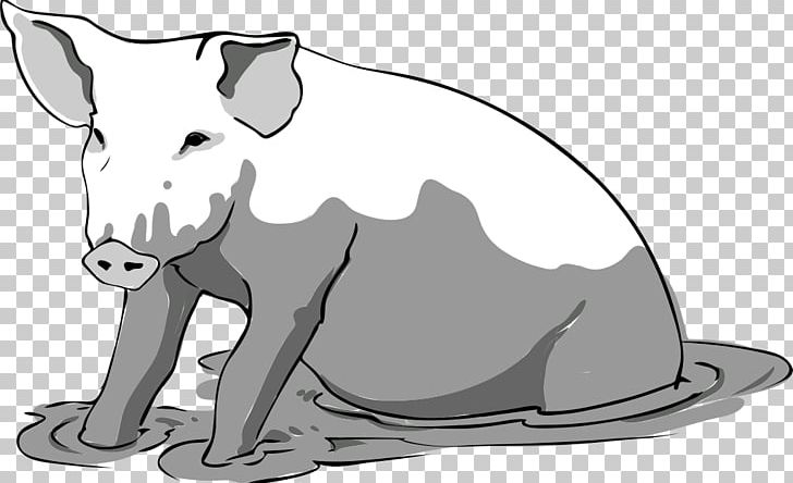 Large White Pig PNG, Clipart, Black, Black And White, Carnivoran, Computer Icons, Dog Free PNG Download