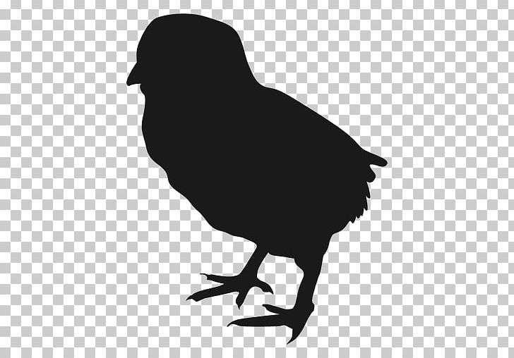 Chicken Meat Silhouette Bird PNG, Clipart, Animals, Anticoccidiano, Autocad Dxf, Beak, Bird Free PNG Download
