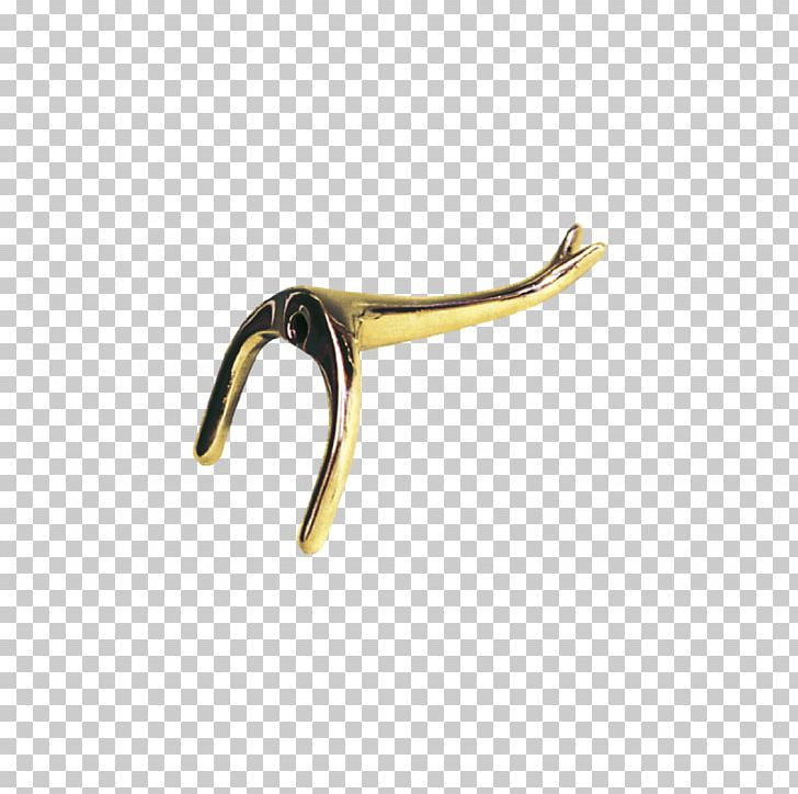 Clothing Accessories 01504 Body Jewellery PNG, Clipart, 01504, Animals, Art, Body Jewellery, Body Jewelry Free PNG Download