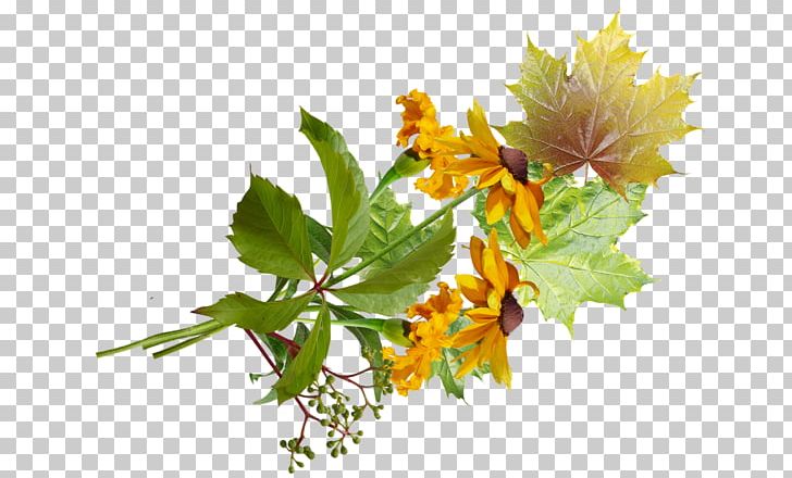 Flower Art Email PNG, Clipart, Art, Beauty, Blog, Branch, Centaurea Cyanus Free PNG Download