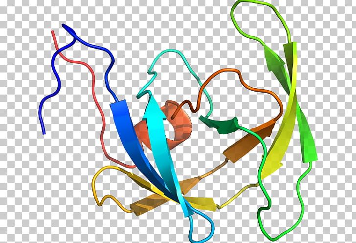 Organism Line PNG, Clipart, Area, Art, Artwork, Line, Organism Free PNG Download