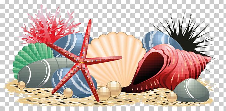 Seashell Beach Starfish PNG, Clipart, Beach, Cartoon, Conch, Fossil, Marine Biology Free PNG Download