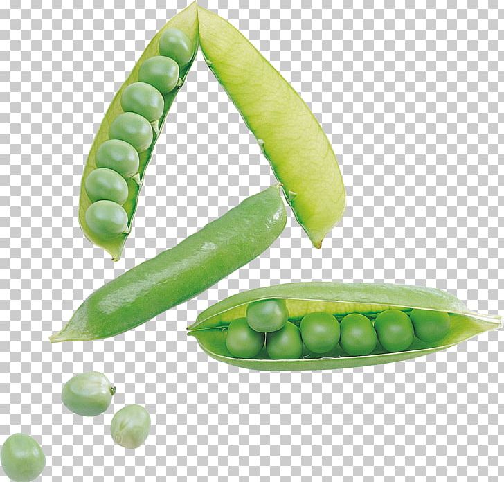 Snap Pea Snow Pea Bean PNG, Clipart, Bean, Color, Common Bean, Download, Food Free PNG Download
