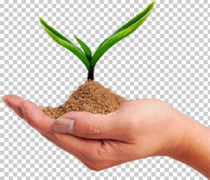 Soil YouTube Sand Sustainable Development PNG, Clipart, Afacere, Blow Molding, Company, Flowerpot, Grass Free PNG Download