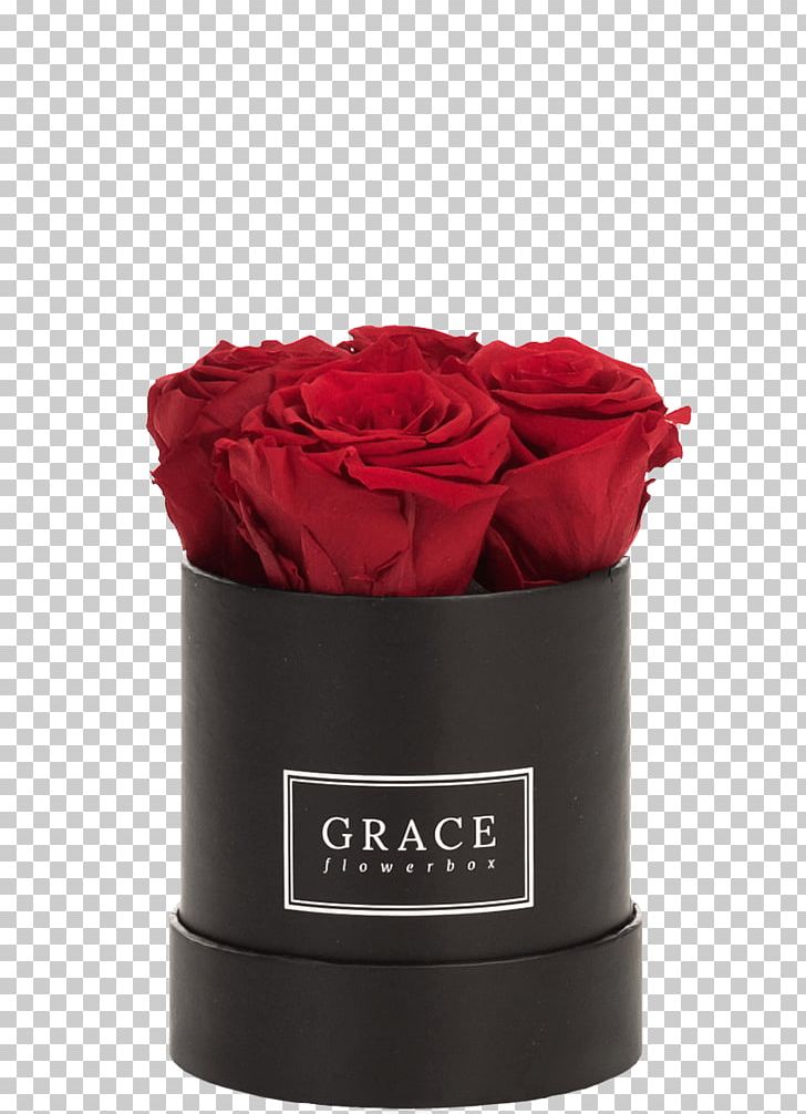 Vase Cut Flowers Petal PNG, Clipart, Cut Flowers, Flower, Flowers, Grace, Petal Free PNG Download