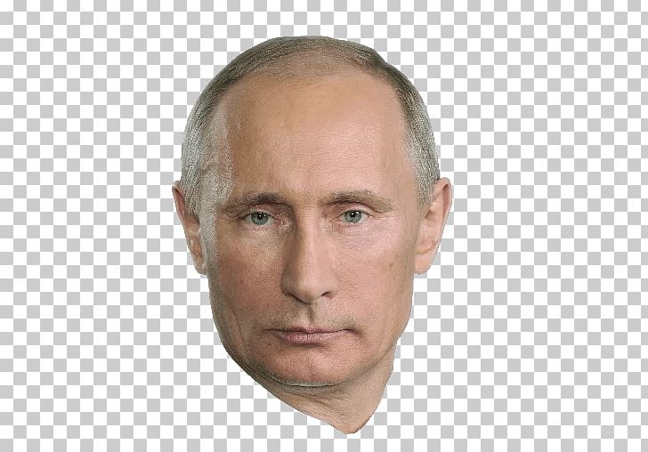 Vladimir Putin President Of Russia President Of The United States PNG, Clipart, Barack Obama, Celebrities, Celebrity, Cheek, Chin Free PNG Download