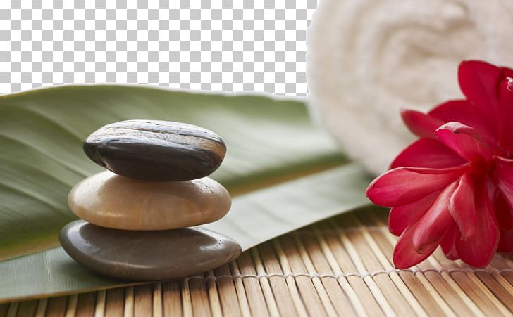 Bliss Ubud Spa Massage Day Spa Beauty Parlour PNG, Clipart, Bathing, Beauty Parlour, Bliss, Day Spa, Decorative Patterns Free PNG Download
