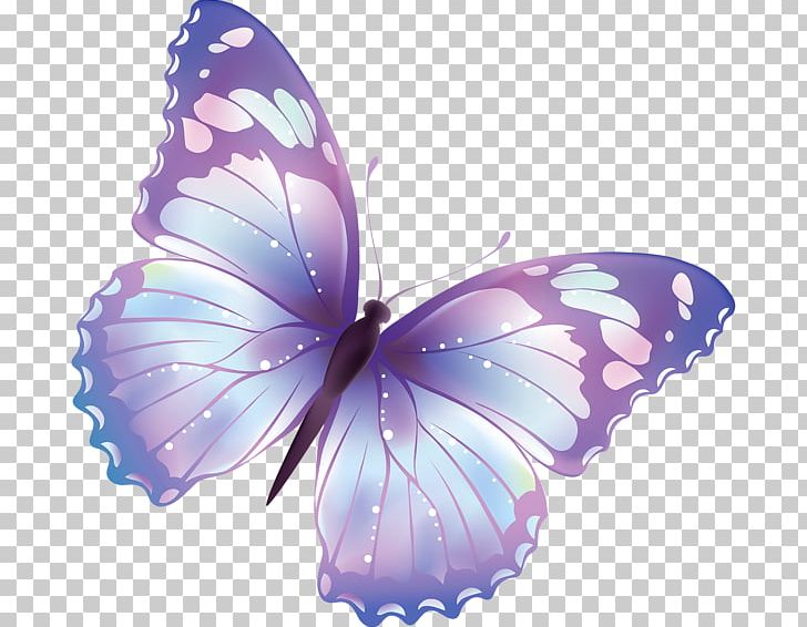 Butterfly Free Content PNG, Clipart, Arthropod, Brush Footed Butterfly, Butterfly, Cartoon, Download Free PNG Download