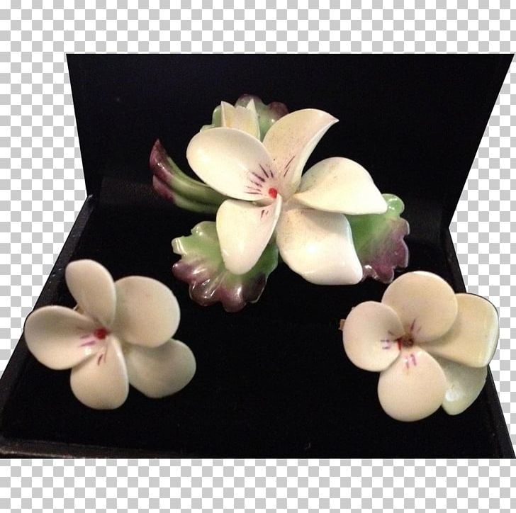 Cut Flowers Petal PNG, Clipart, Cut Flowers, Flower, Handpainted Plants, Others, Petal Free PNG Download