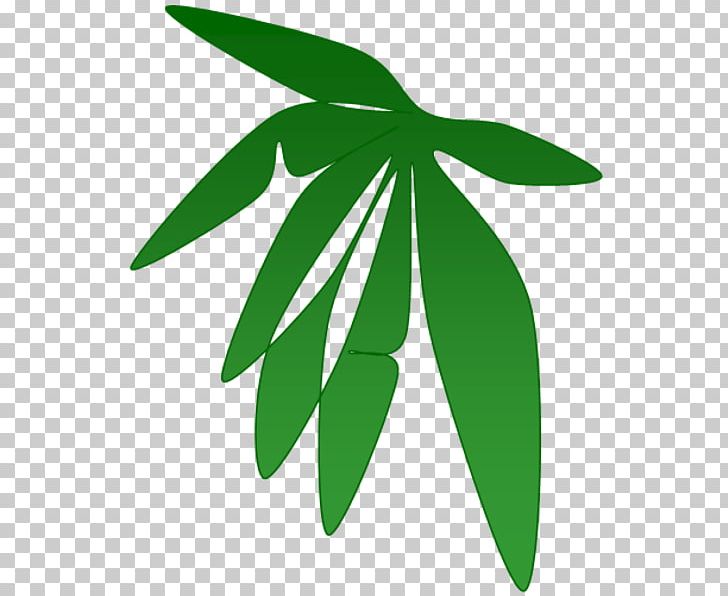 Leaf Plant Stem Font PNG, Clipart, Grass, Leaf, Plant, Plant Stem, Tree Free PNG Download