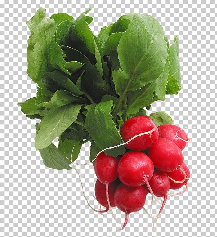 Radish PNG, Clipart, Radish Free PNG Download