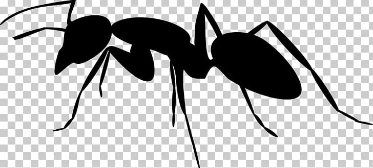 Ant Silhouette Insect PNG, Clipart, Animals, Ant, Ant Clipart, Art, Arthropod Free PNG Download