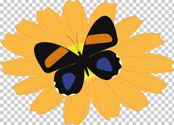 Butterfly Flower PNG, Clipart, Brush Footed Butterfly, Butterflies And Moths, Butterfly, Common Sunflower, Daisy Family Free PNG Download