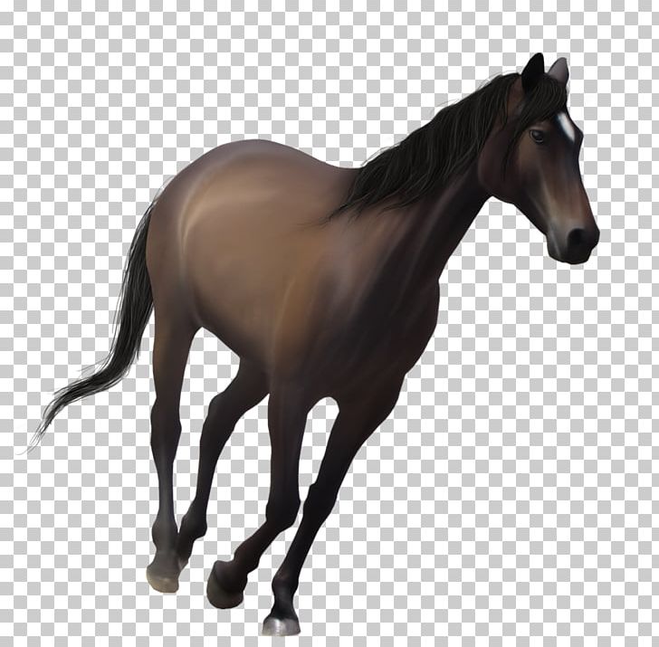 Mustang Foal Mare Pony Stallion PNG, Clipart, Animal Figure, Art, Bit, Bridle, Colt Free PNG Download