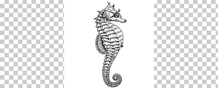 Seahorse PNG, Clipart, Artwork, Black And White, Body Jewelry, Cuteness, Download Free PNG Download