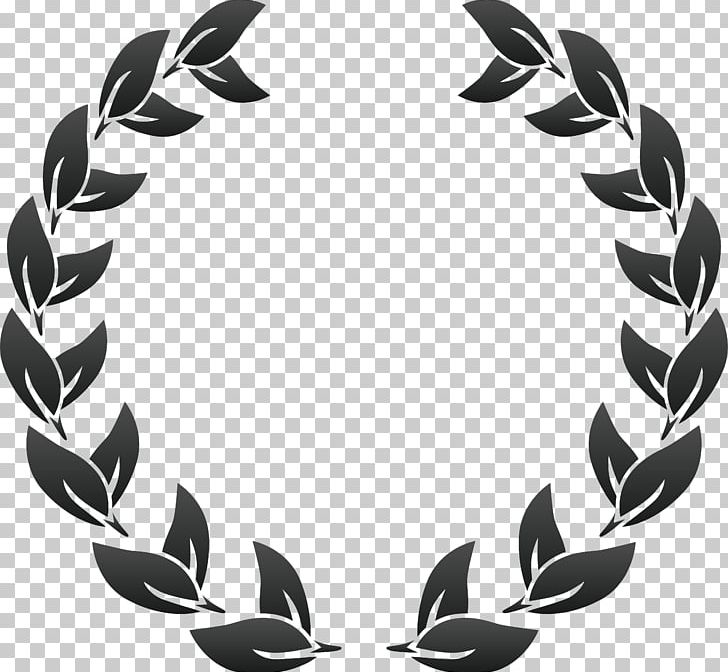 United States Film Festival Judo Jujutsu Award PNG, Clipart, Auspicious Clouds, Black, Black And White, Border Of Medals, Dan Free PNG Download
