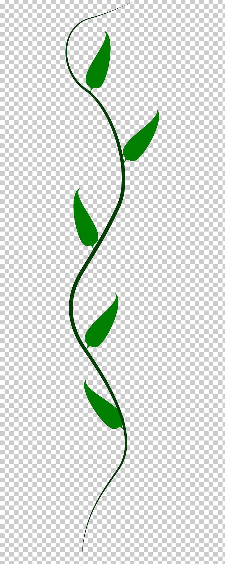 Vine Drawing PNG, Clipart, Angle, Area, Art, Artwork, Black And White Free PNG Download