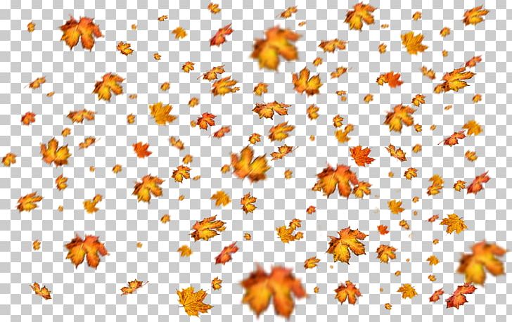 Adobe Photoshop Light Leak Overlay Portable Network Graphics PNG, Clipart, Autumn, Camera Lens, Chrysanths, Daisy, Flora Free PNG Download