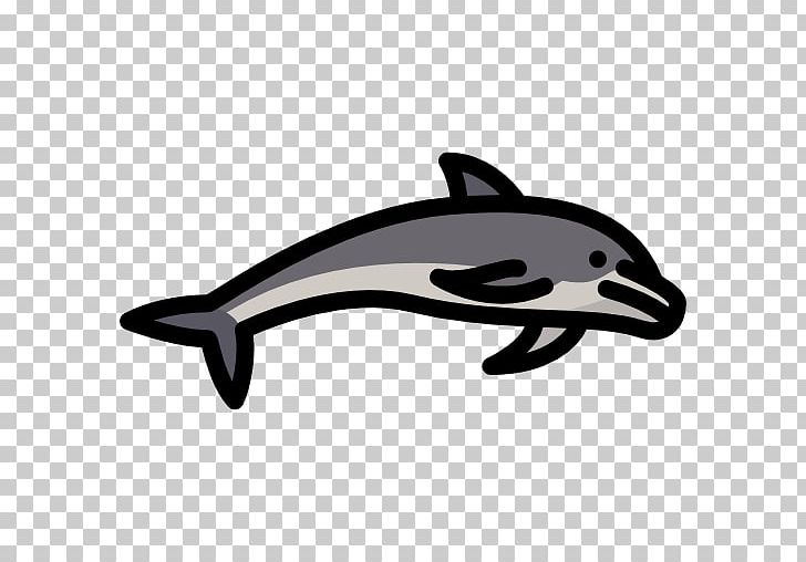 Common Bottlenose Dolphin Porpoise Automotive Design PNG, Clipart, Automotive Design, Black, Black And White, Black M, Bottlenose Dolphin Free PNG Download