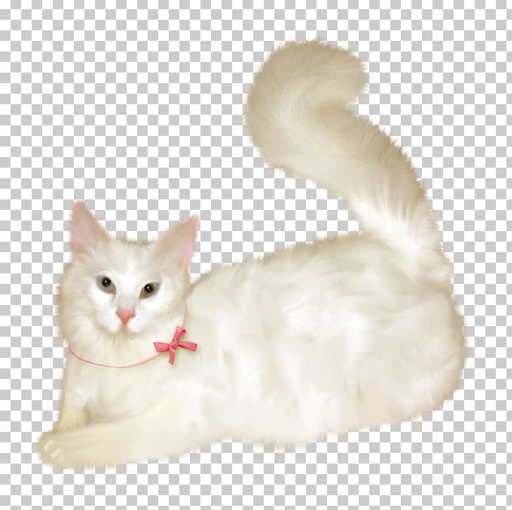 Burmilla Turkish Van European Shorthair American Wirehair Turkish Angora PNG, Clipart, American Wirehair, Balinese, Balinese Cat, Barre, Burmilla Free PNG Download