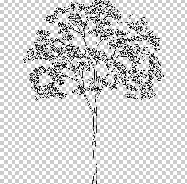 .dwg Tree Computer-aided Design AutoCAD Architecture PNG, Clipart, Architecture, Autocad, Beautifully Single Page, Black And White, Branch Free PNG Download