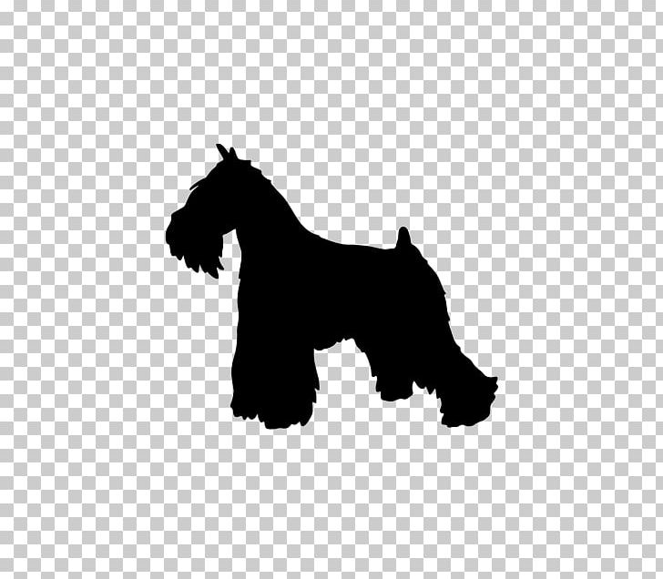 Miniature Schnauzer Scottish Terrier Dog Breed PNG, Clipart, Animals, Black, Black And White, Breed, Carnivoran Free PNG Download