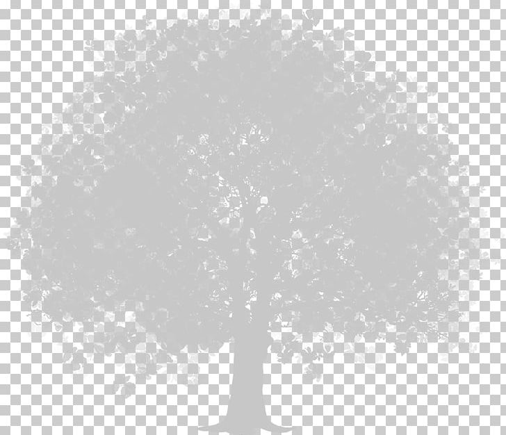 Tree PNG, Clipart, Black And White, Branch, Cedar, Computer Icons, Computer Wallpaper Free PNG Download