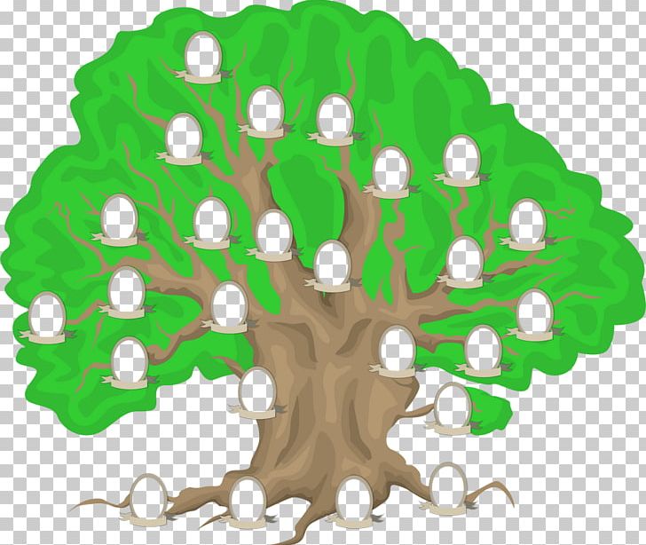 Family Tree Genealogy Painting PNG, Clipart, Circle, Family, Family Tree, Fototapeta, Genealogy Free PNG Download